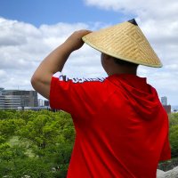 呆呆熊 (@ddbearff) 's Twitter Profile Photo 呆呆熊 (@ddbearff) 's Twitter Profile Photo