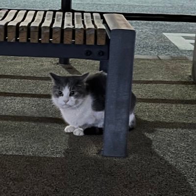 takanashi_0516's profile picture. 24卒 法政 ハルカミライ UNISON SQUARE GARDEN