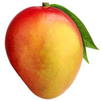 Mangonote (@mangonotedevs) 's Twitter Profile