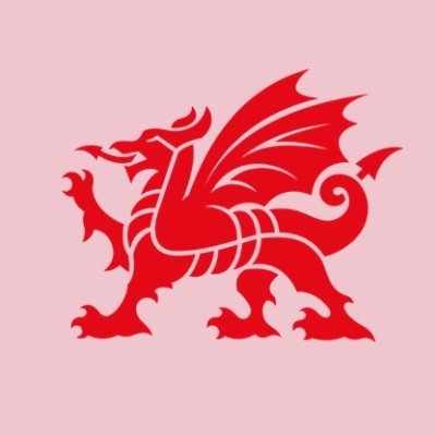 Wales_Screen Profile Picture