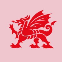 Wales Screen / Sgrîn Cymru (Creative Wales)(@Wales_Screen) 's Twitter Profile Photo