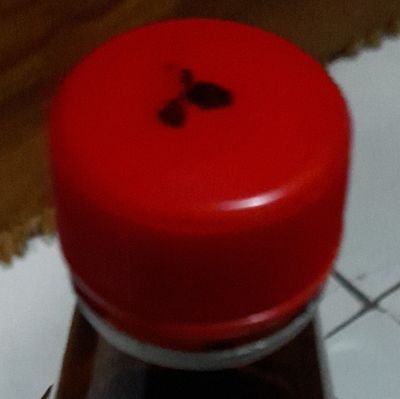 rocky95294's profile picture. 