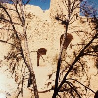 Hark | Ⲥⲱⲧⲉⲙ | Հարքատսի (@harken__) 's Twitter Profile Photo