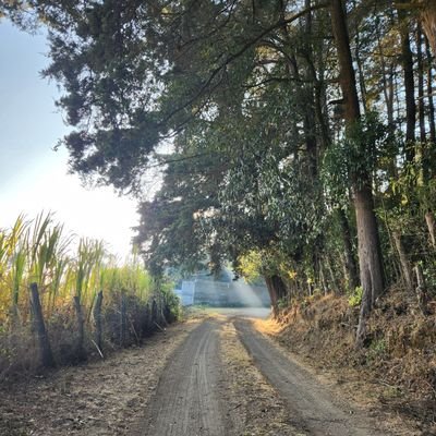 zarlily's profile picture. Buscando siempre  la mejora continúa 💪😎