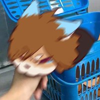 にわ (@newhainoniwa) 's Twitter Profile Photo にわ (@newhainoniwa) 's Twitter Profile Photo