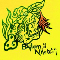 B'ajlom ii Nkotz'i'j Publications (BiiNP)(@bajlom2017) 's Twitter Profile Photo