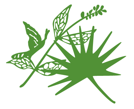 NativePlantsFL's profile picture. For thirty years we’ve grown & sold native and hardy Florida-friendly plants to Florida residents. We now carry edible plants & organic veggie and herb seeds.