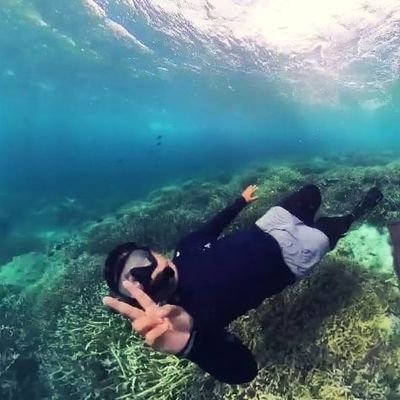 Travel 🛩️
Memancing 🎣
 Scuba Diving 🏊🤿
Music 🎶
Obses dengan pulau2 🏝️