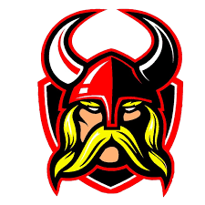 vikingballnwhs Profile Picture