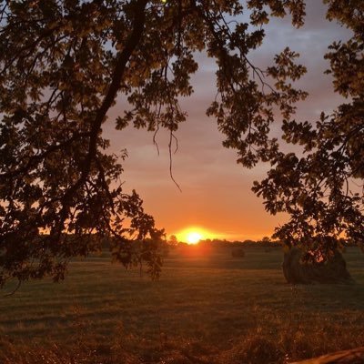 lordwery's profile picture. Kamu Mühendisi 👷‍♂️