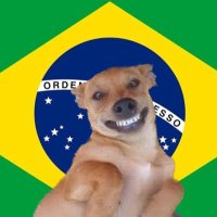 isso é o mais puro suco de Brasil(@PuroSucoDoBr) 's Twitter Profile Photo