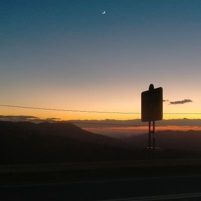 lulu_quaranta's profile picture. 