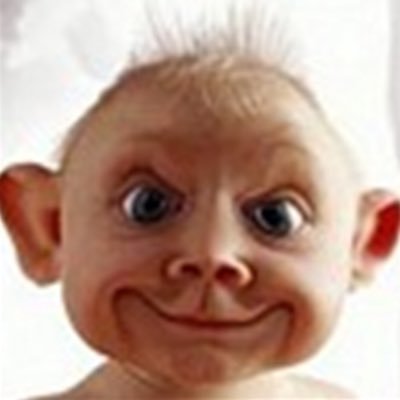 WalidKhali7334's profile picture. 