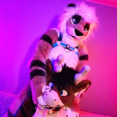 🔞of @Lux_Trotti
Dom lion 🍆/ Sub caribou 🍑

(♂️x♂️🏳️‍⚧️) 

Have fun... and maybe with us ~

Likes: bdsm, paws and latex.
(no minor/zoo/map ect)