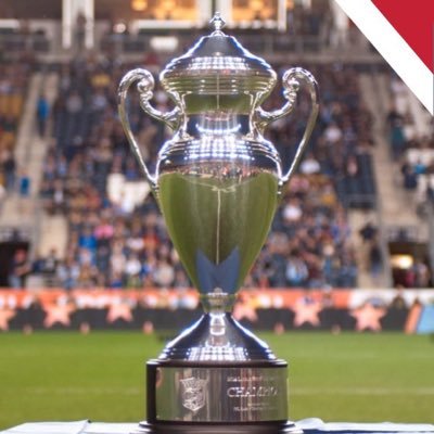 Championing the beautiful game’s universal principles of sporting merit, solidarity, promotion, relegation & subsidiarity across all 50 states. #ProRelForUSA
