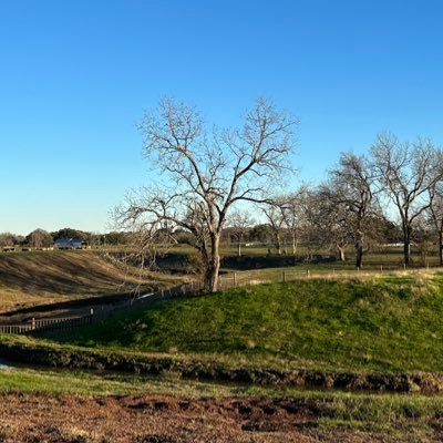 Texan_Zone's profile picture. 