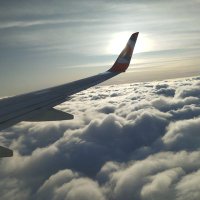 Alan F (@alanfi23) 's Twitter Profile