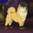 NazaretSBeas's profile image