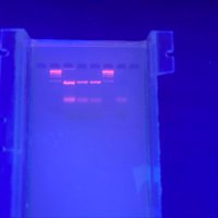 Maria R (@mariarfscience) 's Twitter Profile Photo