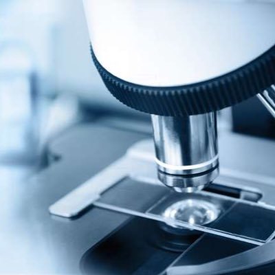 shadia9728's profile picture. pathologist