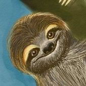 sloth communism