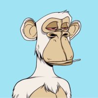 SmallDickBigBag (@smalldickbigbag) 's Twitter Profile