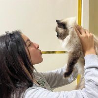 🇵🇸Cat woman🇵🇸 (@catspoor5) 's Twitter Profile