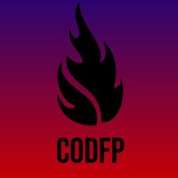 C0DFP(@C0DFP) 's Twitter Profile Photo