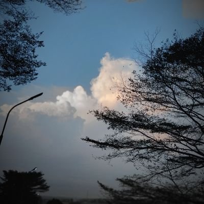 shwboy_'s profile picture. Web3 | Infofi