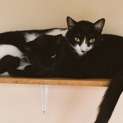 ErnestoLRojasV1's profile picture. Agranegocios