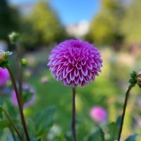 LeParisien (@autocarparisien) 's Twitter Profile Photo