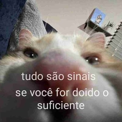 aondeeuto12's profile picture. Eu simplesmente não existo❗