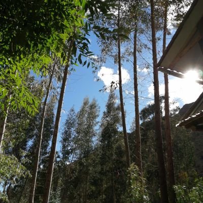 deni6_48's profile picture. Por la democracia y la libertad del mundo!
En contra NOM!