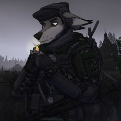 Skif_069's profile picture. Spanish/English