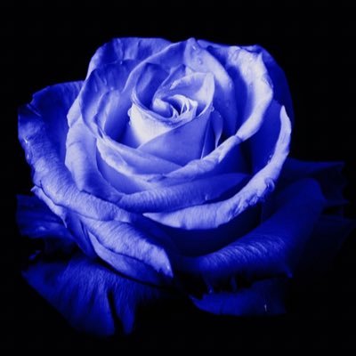 Blue Rose（ブルーローズ） -DREAMING-です！ 三重県（松阪・津市・伊勢エリア)で7年実績のデリヘル店でーす😎2024年から松阪エリアにお店を統合したので宜しくお願いします。キャストさん急募求人https://t.co/VvcqY1G7Rl ☎️08026372566
