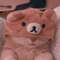๐๐ฎ๐ผ๐ผ๐ฒ๐ฌ๐ช ๐๐ธ๐ผ๐ฎ๐น๐ฑ (@josephj1424) 's Twitter Profile