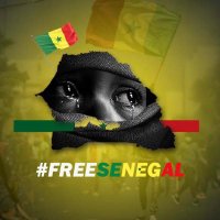 Samba Sall (@sallsambakg) 's Twitter Profile Photo Samba Sall (@sallsambakg) 's Twitter Profile Photo