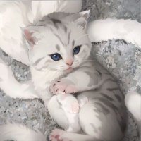 naked floret (@naked_floret) 's Twitter Profile