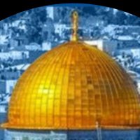 ابو حيدر🔻الاخبار العاجله🔻 (@sami23343369698) 's Twitter Profile