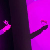 ee (@ewdurbin) 's Twitter Profile Photo