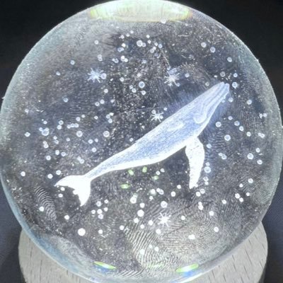 wateritten's profile picture. 웹 프론트엔드 취준 일기장