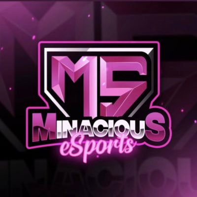 Premier eSports and Entertainment | 2/2LAN CHAMPS🥇| Powered by @pegasusapparelx| #Minacious #WeDontStepWeStomp