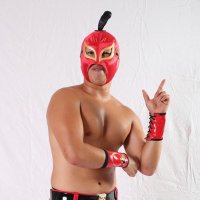 山谷林檎🍎 みちのくプロレス(@yamayaringo) 's Twitter Profile Photo