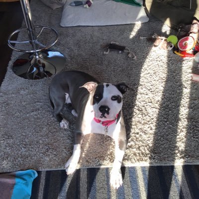 smalone5's profile picture. 