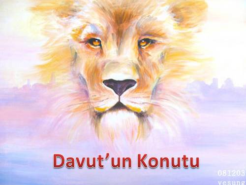 davutkim's profile picture. 