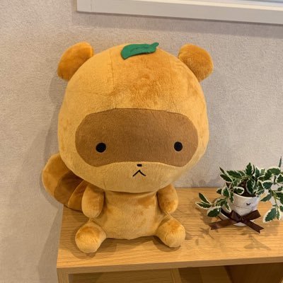 ちょま♧💚❤️こたぬ家さんのプロフィール画像