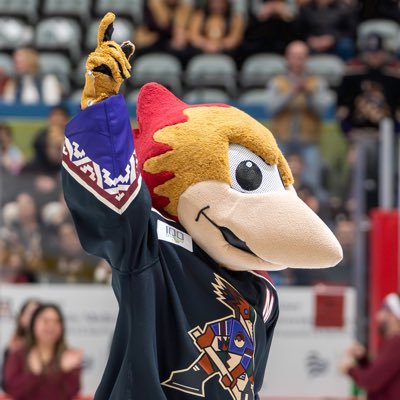 dusty16ahl's profile picture. • Official mascot for the @roadrunnersahl • @theahl • COOLEST team in Tucson 😎🧊 #LetsGoTucson • Affiliate to Utah Mammoth 🦣