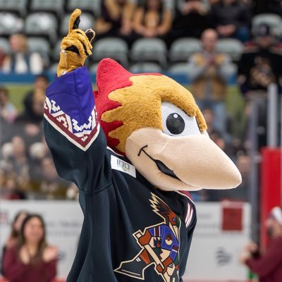 • Official mascot for the @roadrunnersahl • @theahl affiliate of the NHLs @arizonacoyotes • COOLEST team in Tucson 😎🧊 #LetsGoTucson