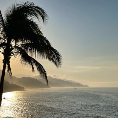 AmericanGirlDS's profile picture. CLOSED ACCOUNT FUCK YOU X. No vaccine is safe. They murdered people for power & money. #HCQ & #Ivermectin work. #DoNotComply #SaveTheChildren