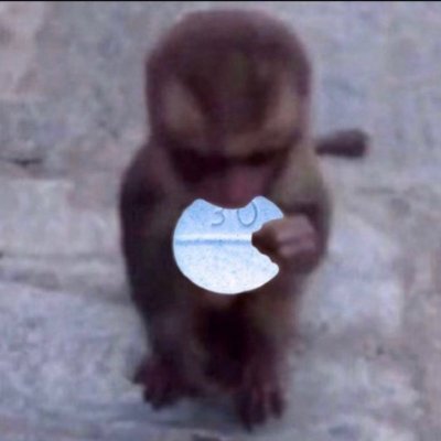 monarchsecond's profile picture. big river monsters guy night lord grey knight meatrider Ac Million
beekeeper